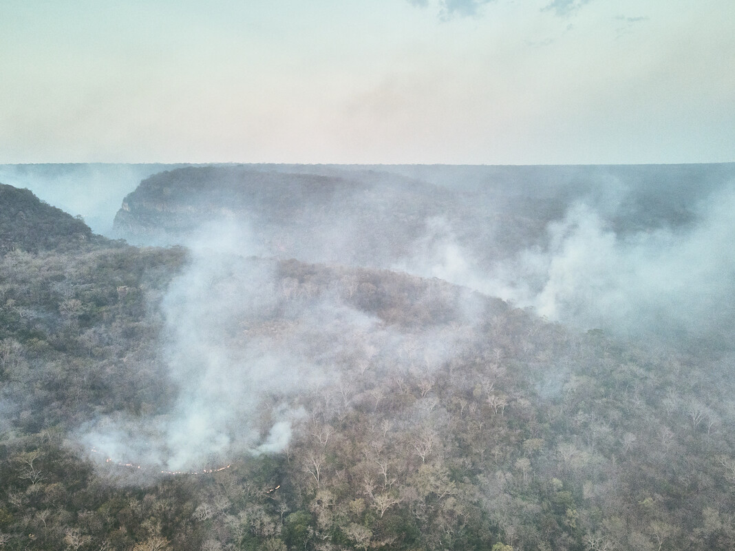 Forest fires in the Amazon rainforest in Bolivia