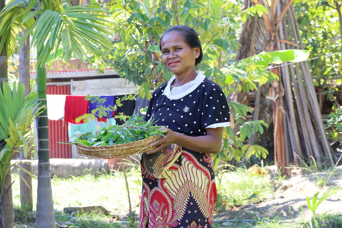 Vattenspenat blev nyckeln till klimatresiliens i Östtimor